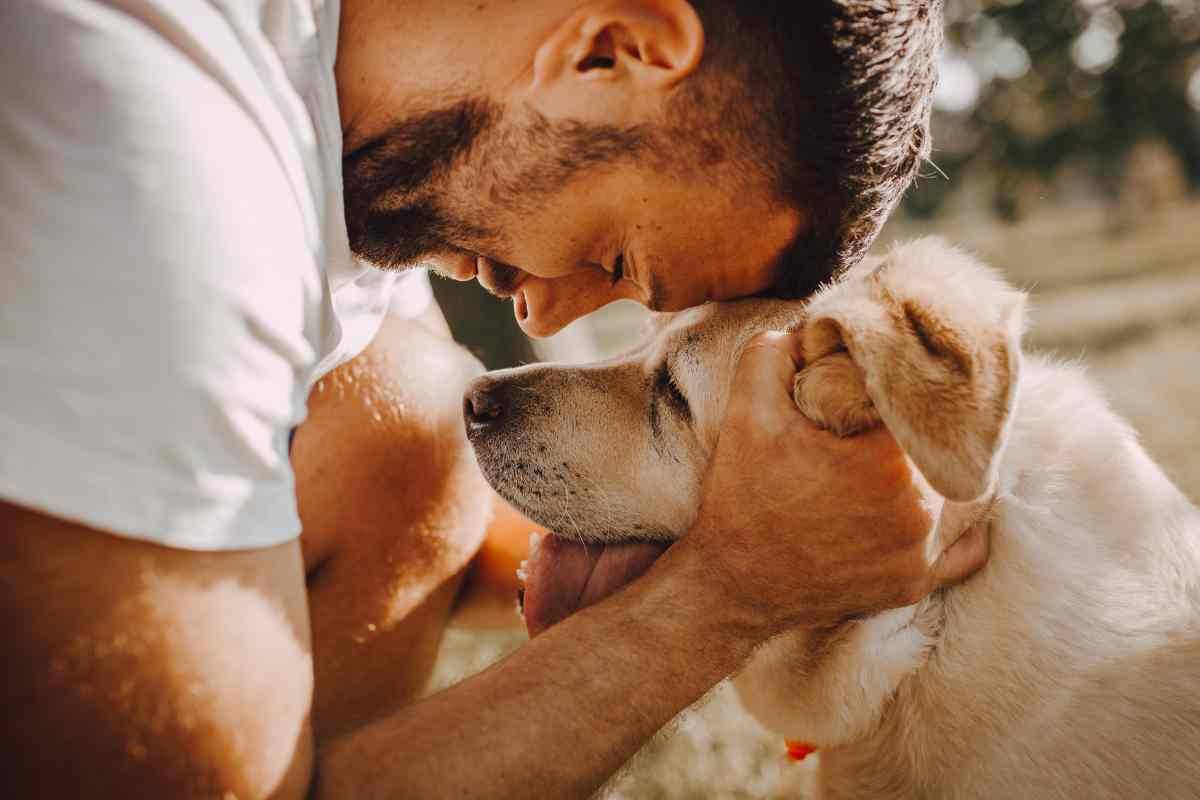 Le spese veterinarie da detrarre nel 2024