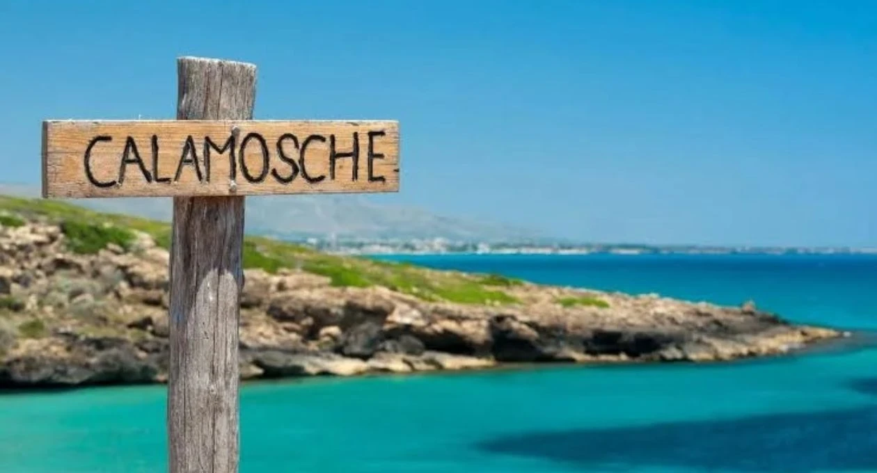 Calamosche